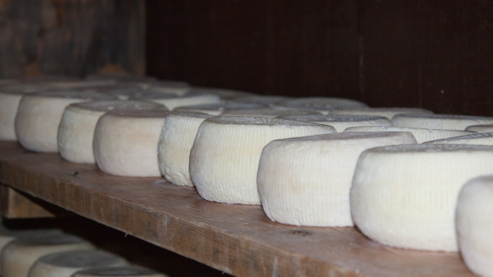 Les fromages du Pays Basque